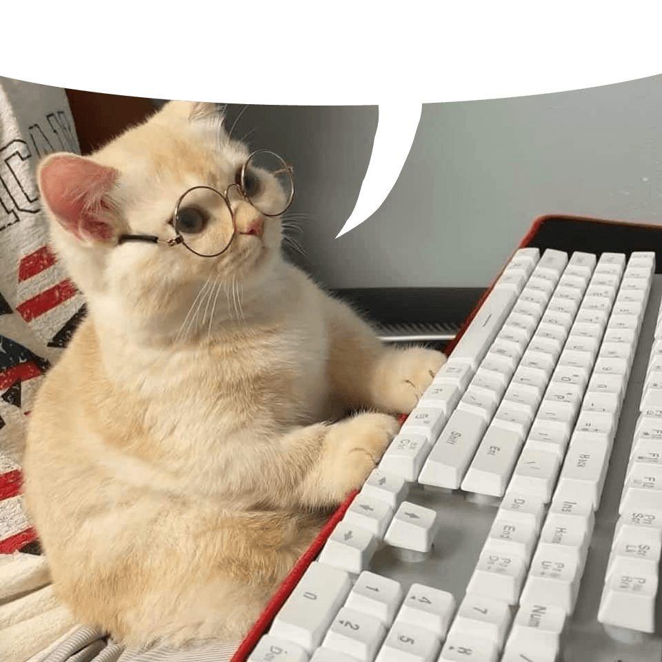 cat typing